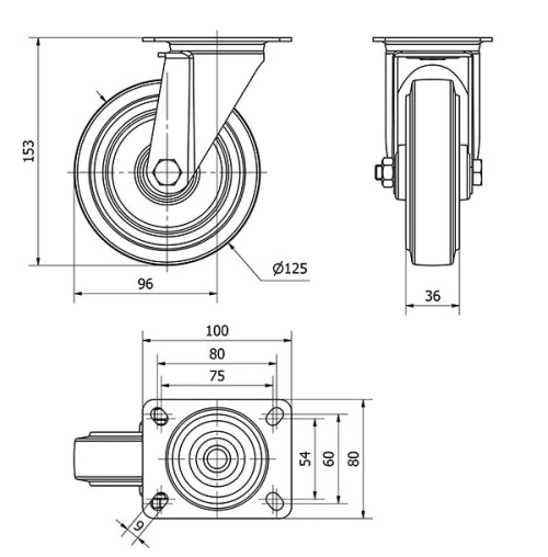 Données techniques TW0125